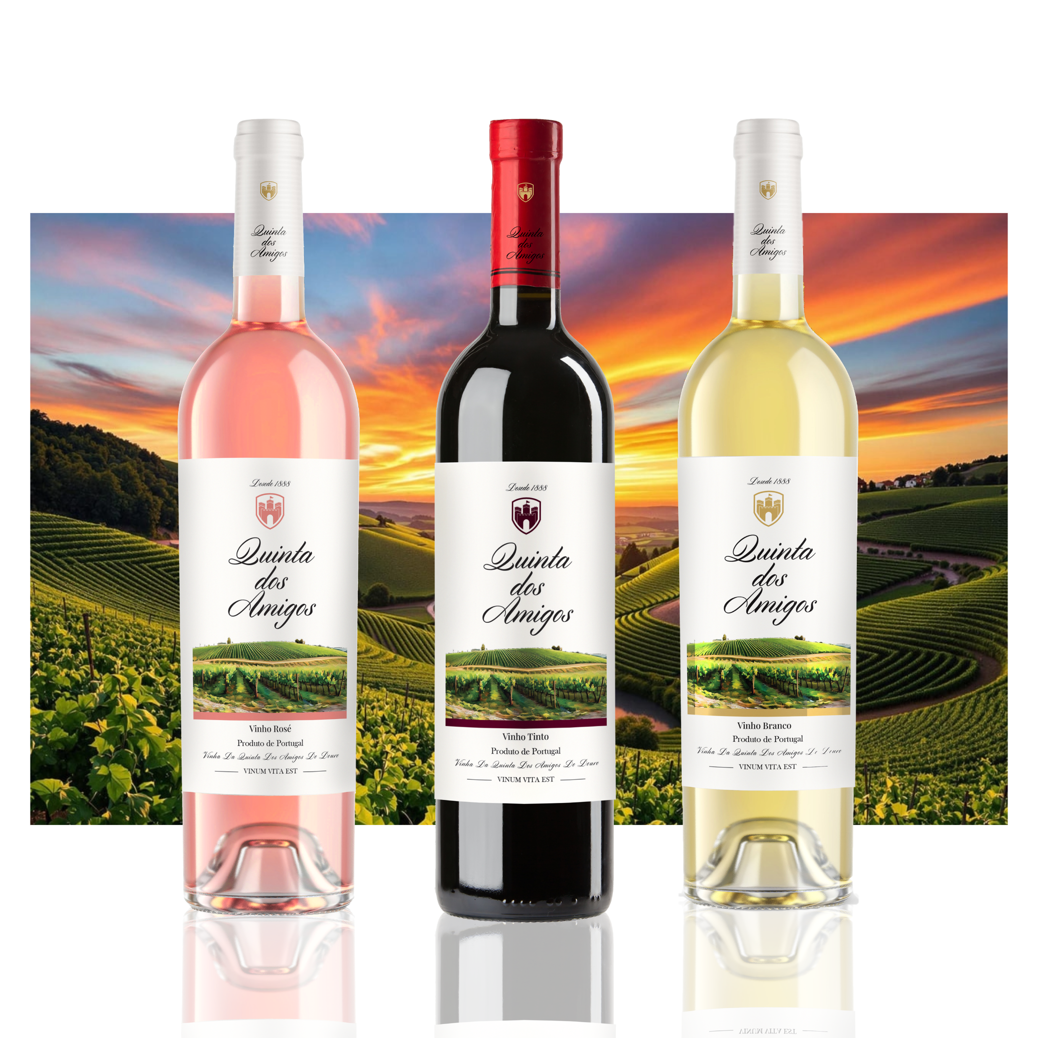 Wine Bottle - Quinta dos Amigos