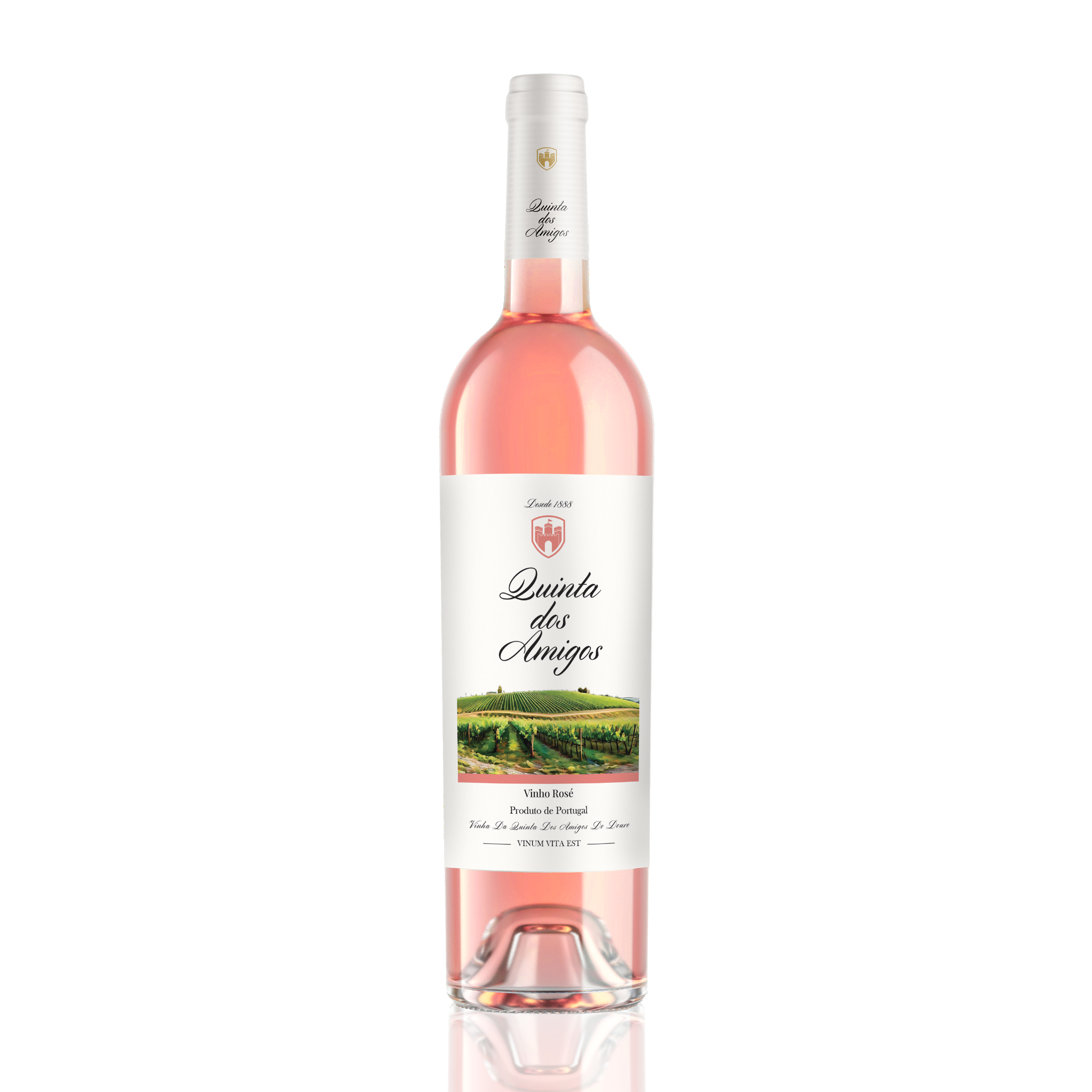 Rosé Wine